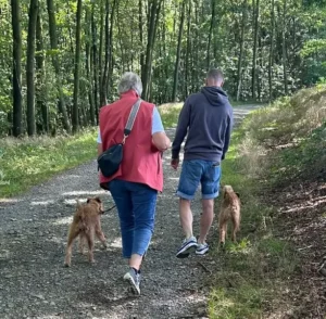 Irish Terrier vom Hürtgenwald Treffen