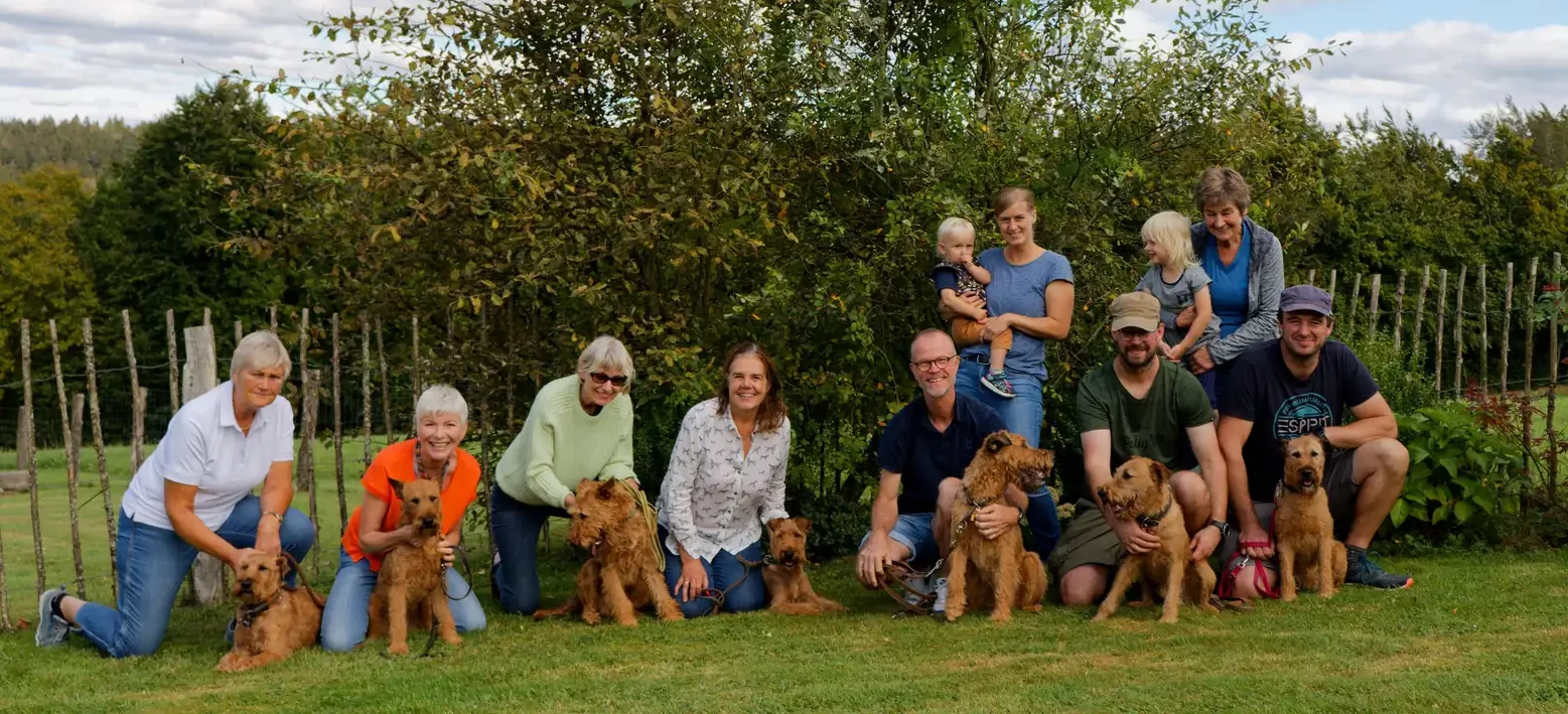 Irish Terrier vom Hürtgenwald Zucht