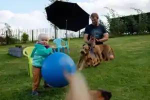 Irish Terrier vom Hürtgenwald Zucht